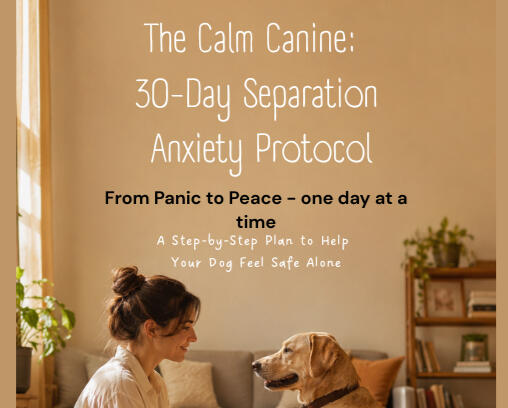 Heal your dog naturally through food - $37